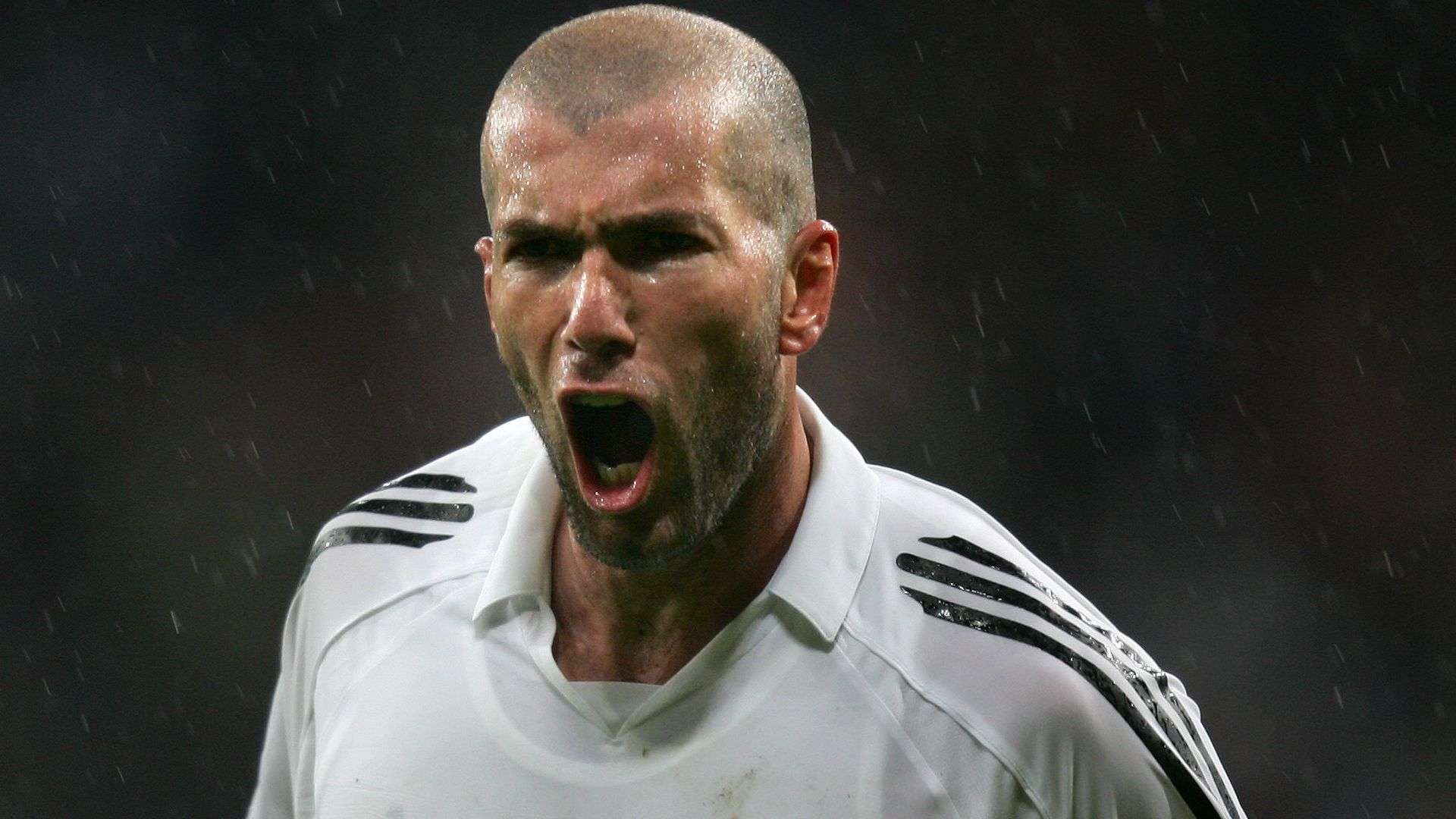 究竟是什麼 究竟是什麼